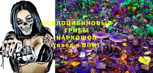 крисы Кукмор