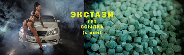 сатива Кулебаки