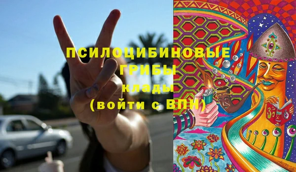 сатива Кулебаки