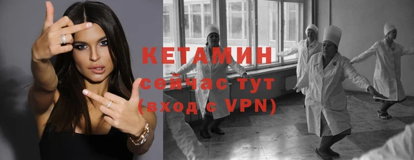 сатива Кулебаки