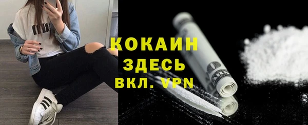 сатива Кулебаки
