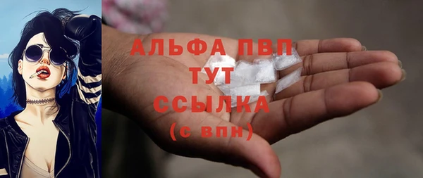 сатива Кулебаки