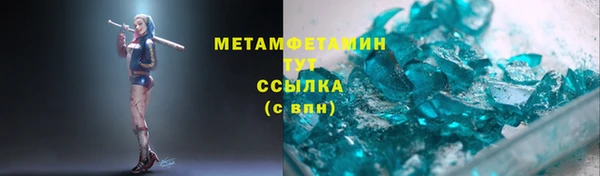 сатива Кулебаки