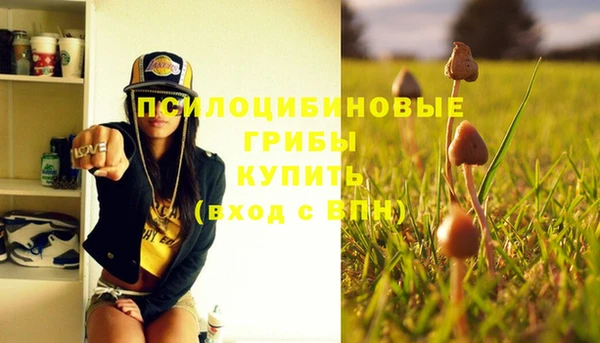 крисы Кукмор