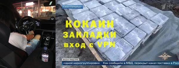сатива Кулебаки